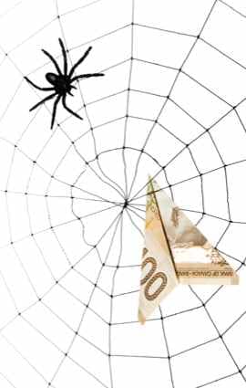 Collaboration autour d'une stratégie Web avec expertise