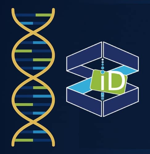 Une signature visuelle comparable à un échantillon d’ADN